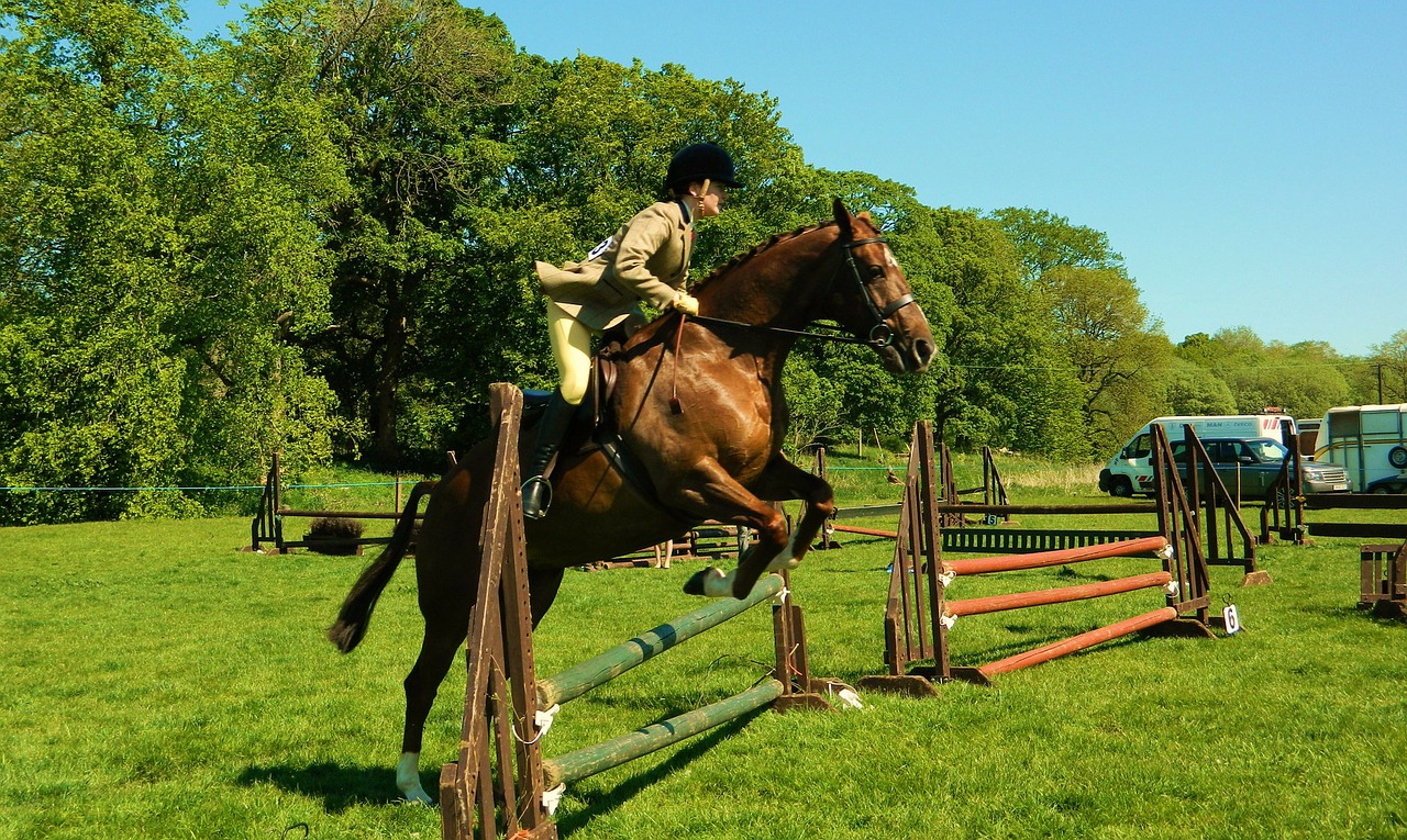 The Biggest Horse Shows in Ohio | DIY Pole Barns