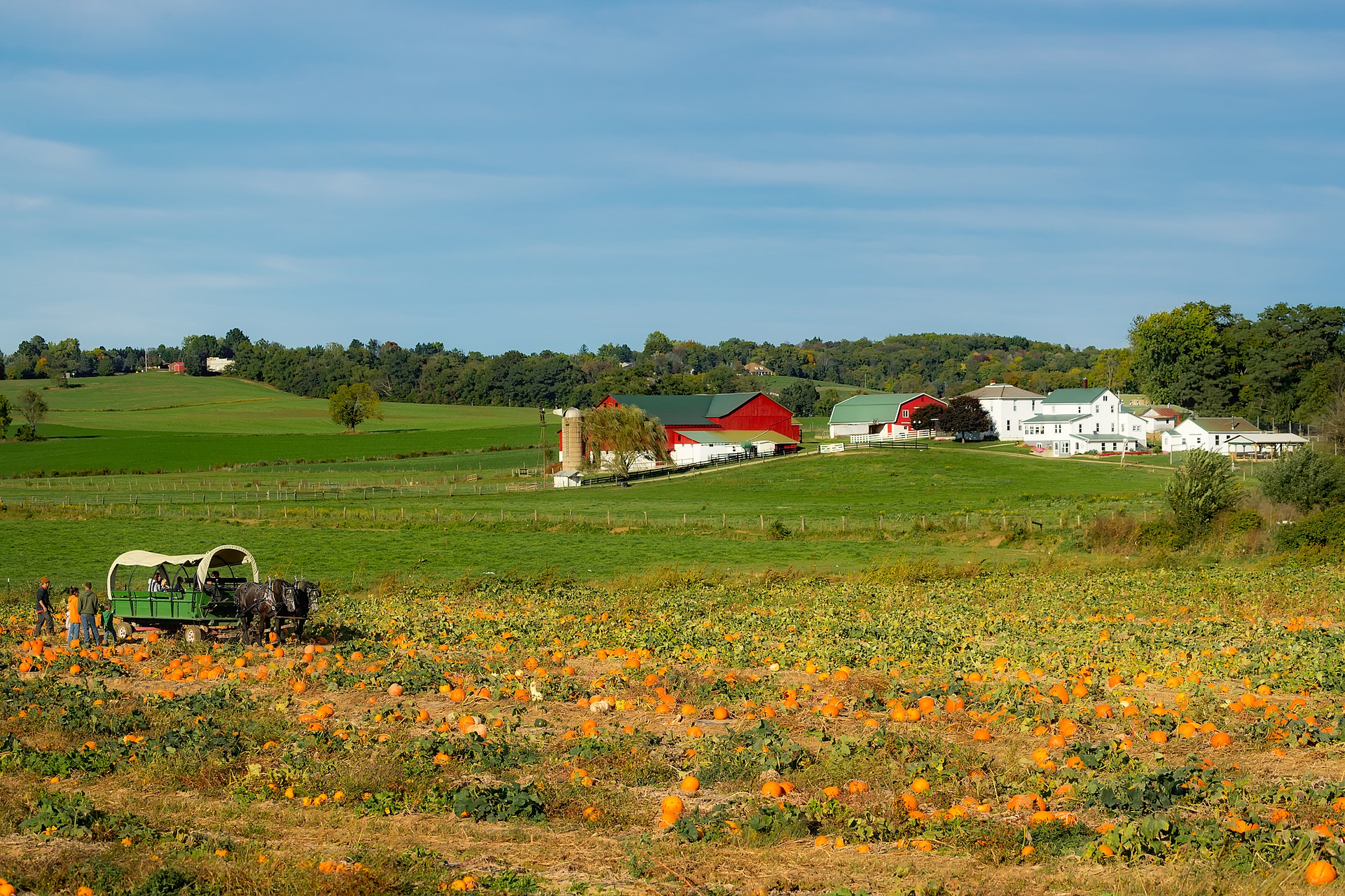 Fun Ohio Fall Foliage Tours DIY Pole Barns