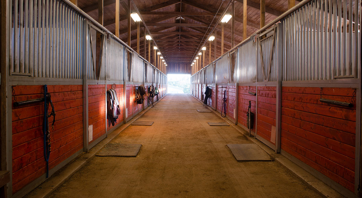 horse arenas indoor and outdoor riding arenas